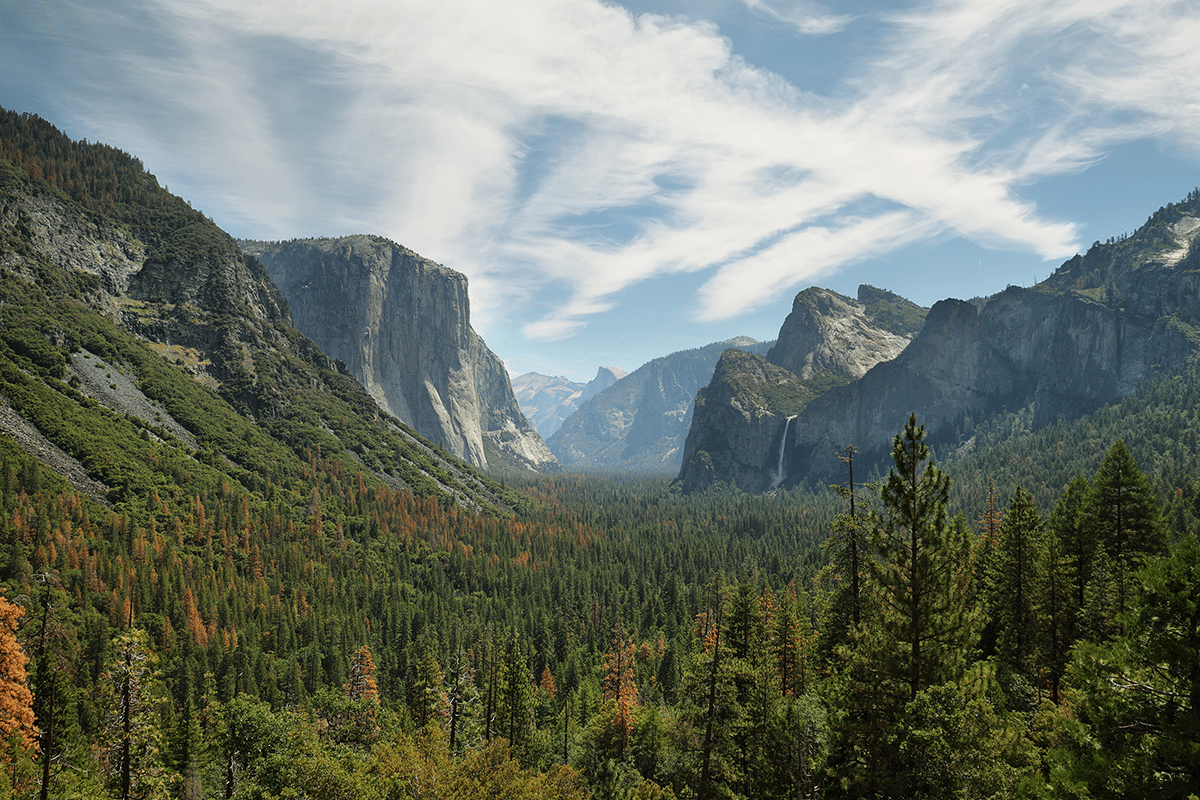 Agency Spotlight-History of the National Park Service | Harris